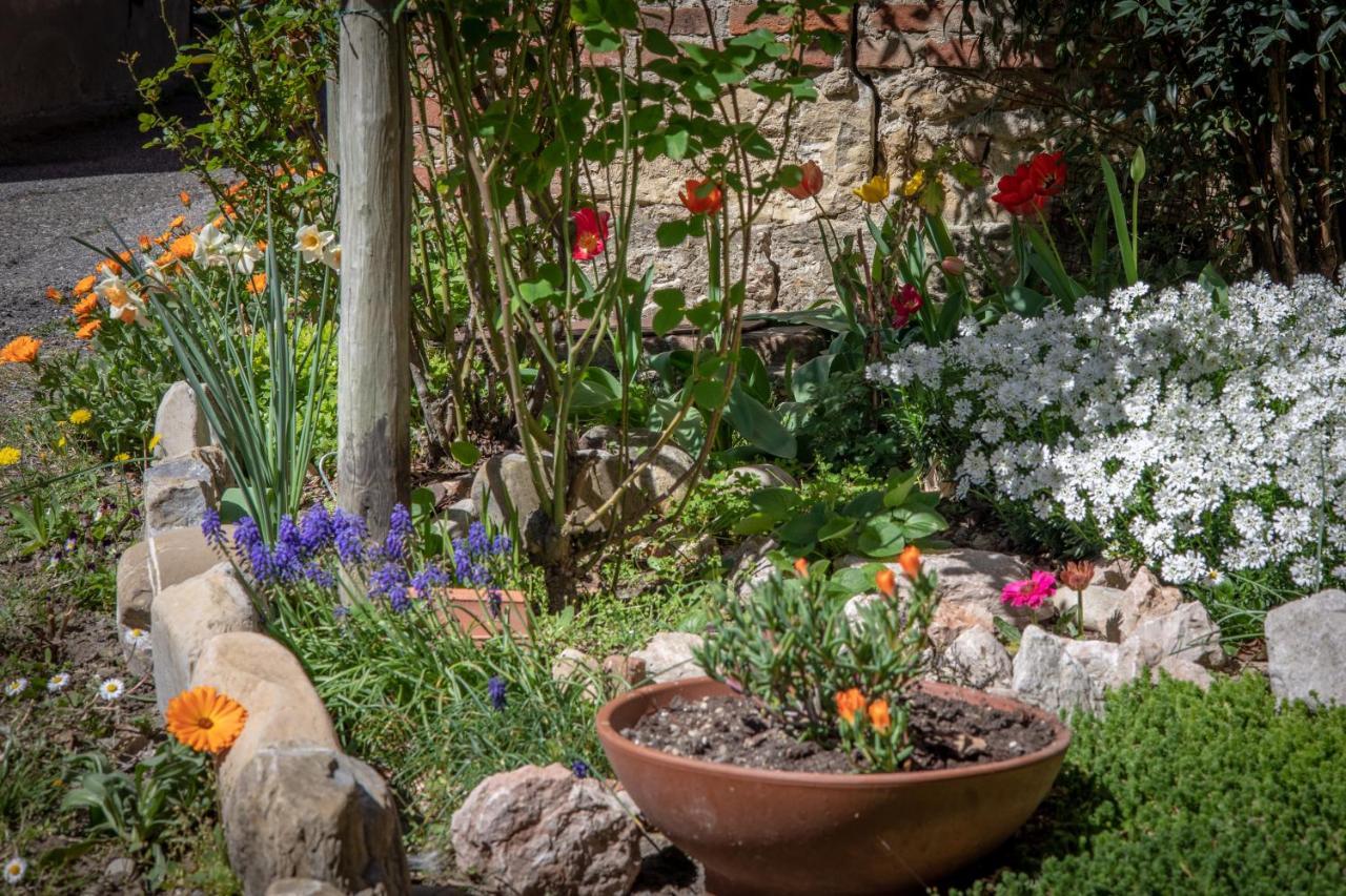 B&B La Mimosa E Il Gelsomino Canneto Pavese Esterno foto