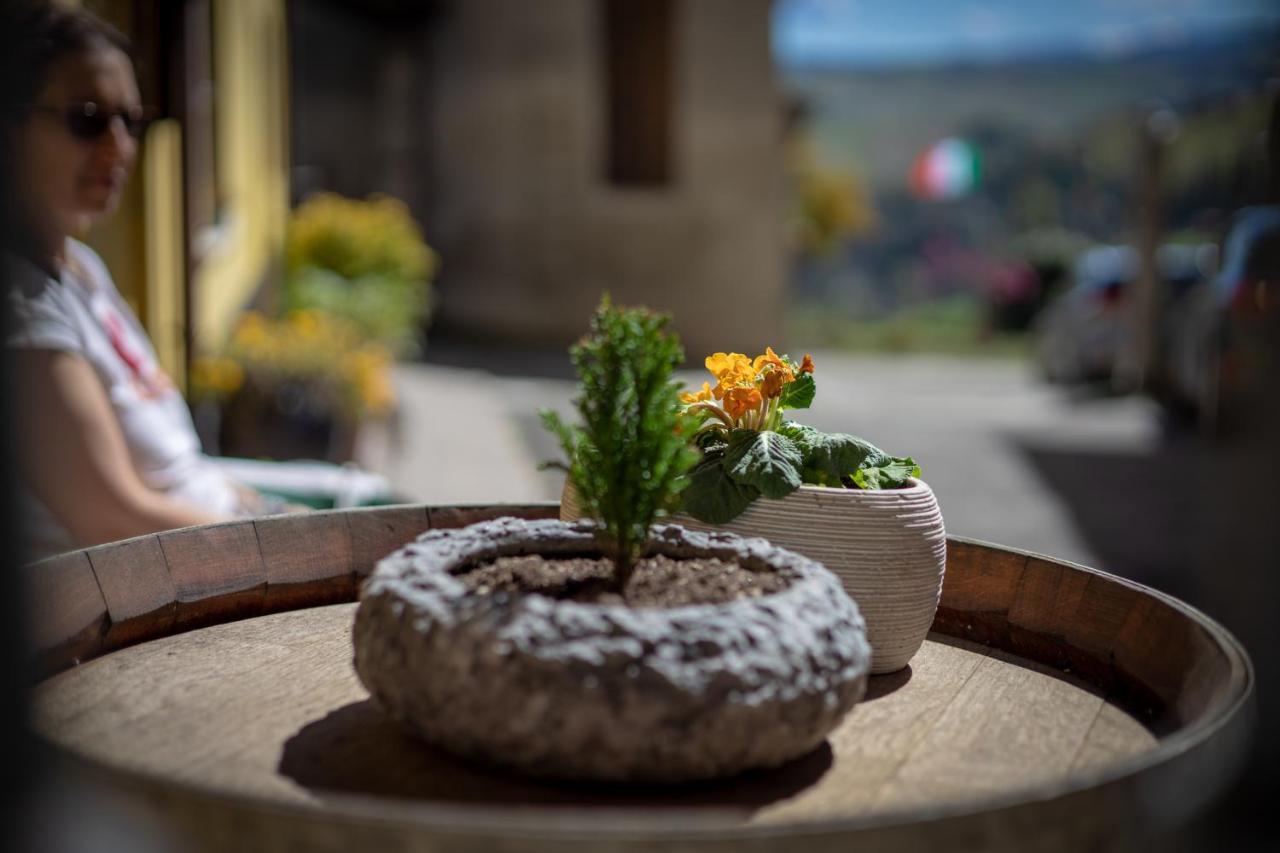 B&B La Mimosa E Il Gelsomino Canneto Pavese Esterno foto